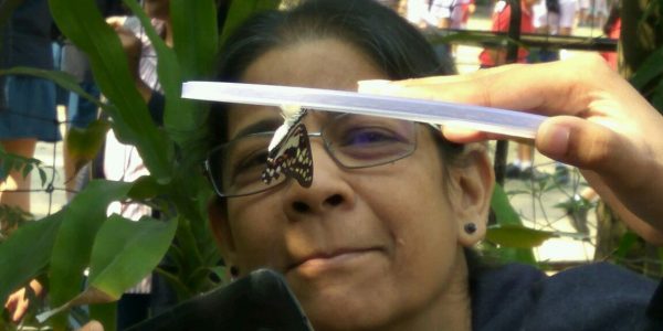 Eine Geburt im Schmetterlingsgarten