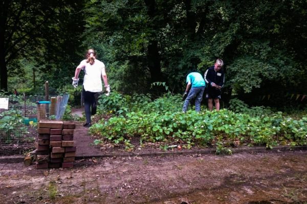 2018 05 16 12.54.59 (2)