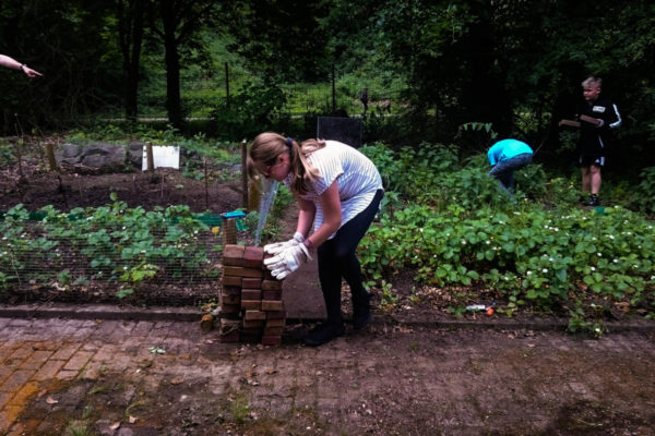 2018 05 16 12.55.18 (2)