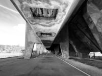 829A427E A95F 42AD 8B8D 77D83860F81F