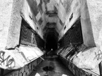 A6BB74FA 4497 41DD BDB7 F56826925E8E