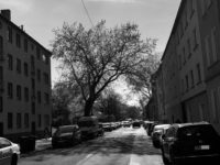 ED6808FC 55D8 4C73 9AEC 2D16375C294A