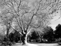 F14C460D C426 456E A90F D82B29D2ABCD