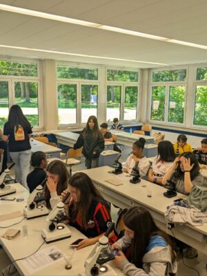 Photo 2025 05 19 20 58 25