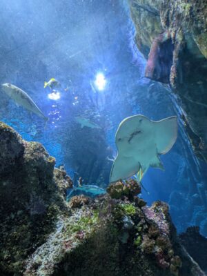 Photo 2025 05 19 20 59 32